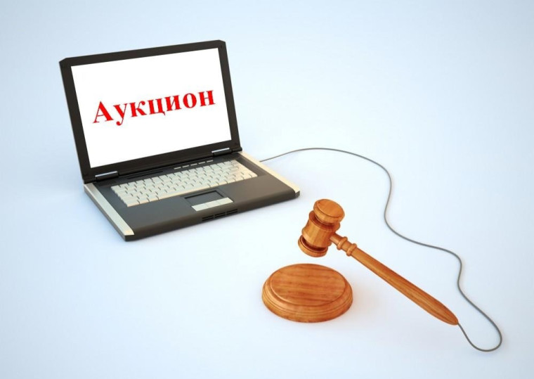 Извещение № 22000132330000000004. Извещение № 22000132330000000004.